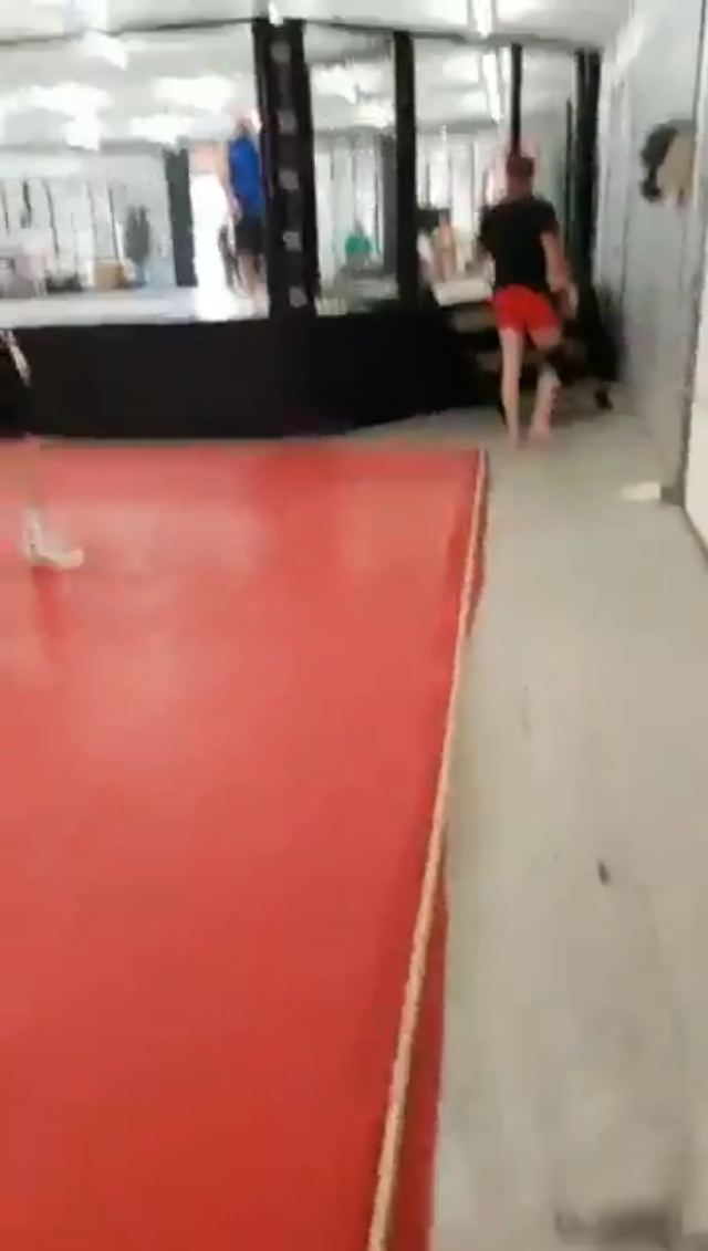 street fighter vs mma fighter